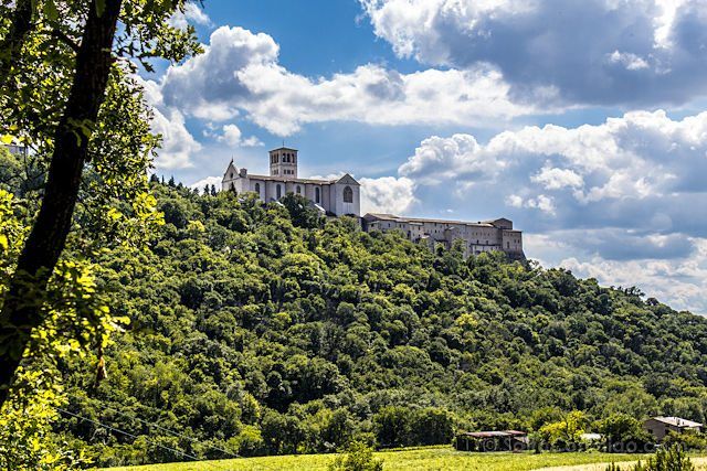 Italia-Umbria-Assissi-Bosque-San-Francisco-Vista-Basilica