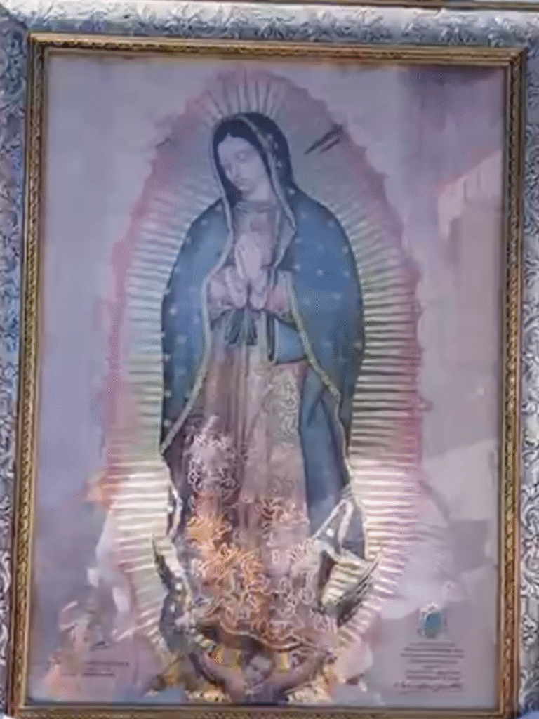 12WhatsApp Image 2025-10-05 at 20.13.29