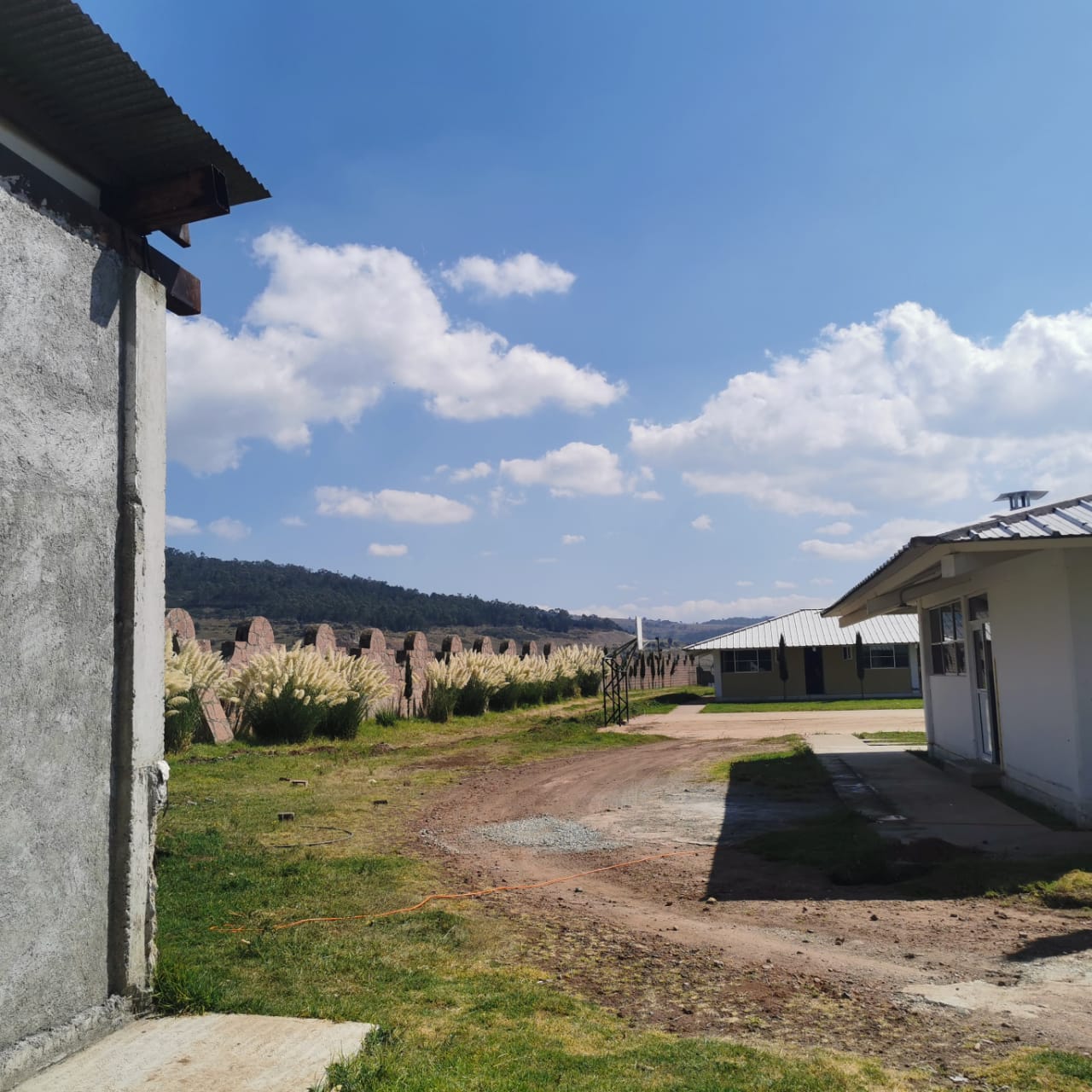 WhatsApp Image 2025-10-26 at 21.06.20 (2)