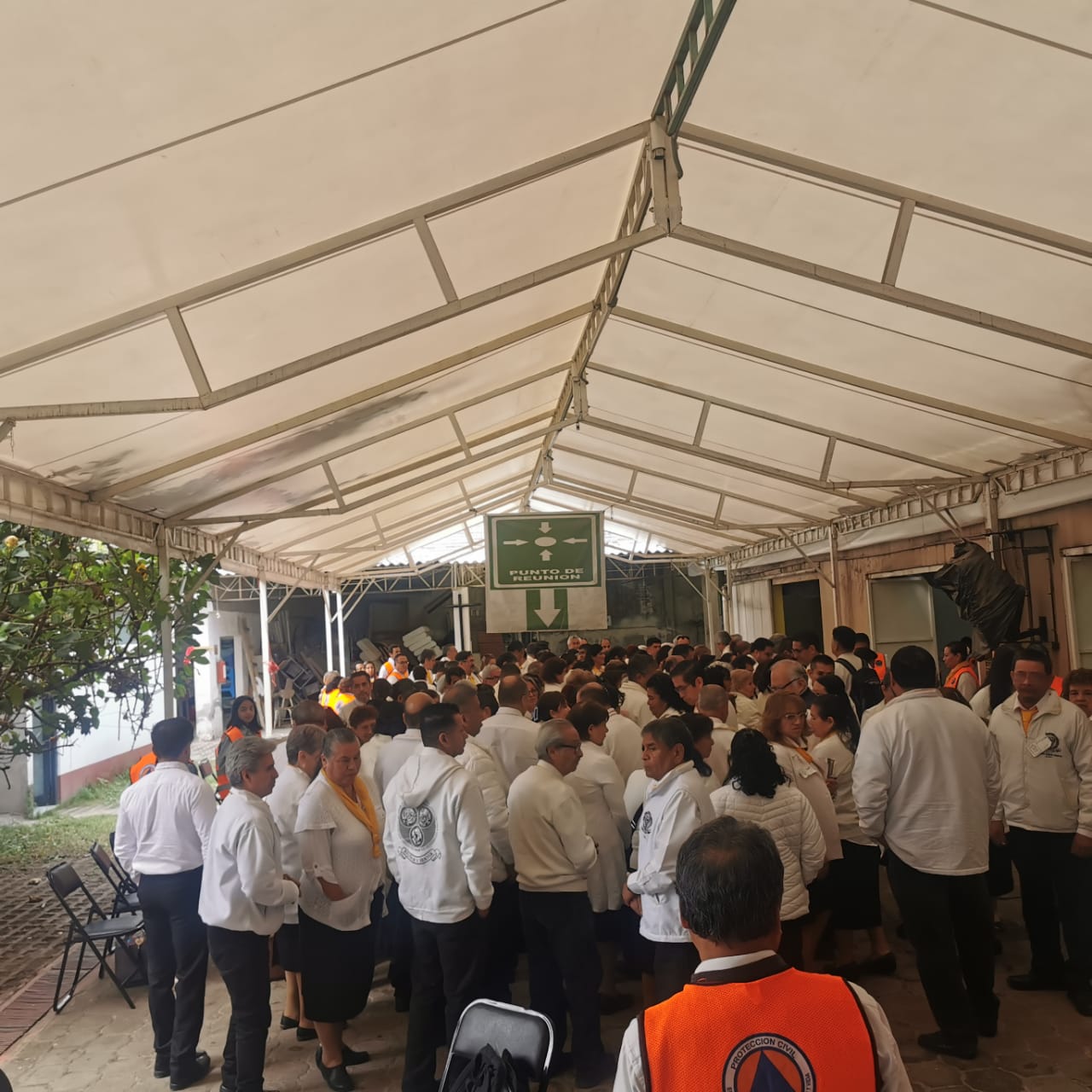 WhatsApp Image 2025-11-02 at 20.59.20 (3)