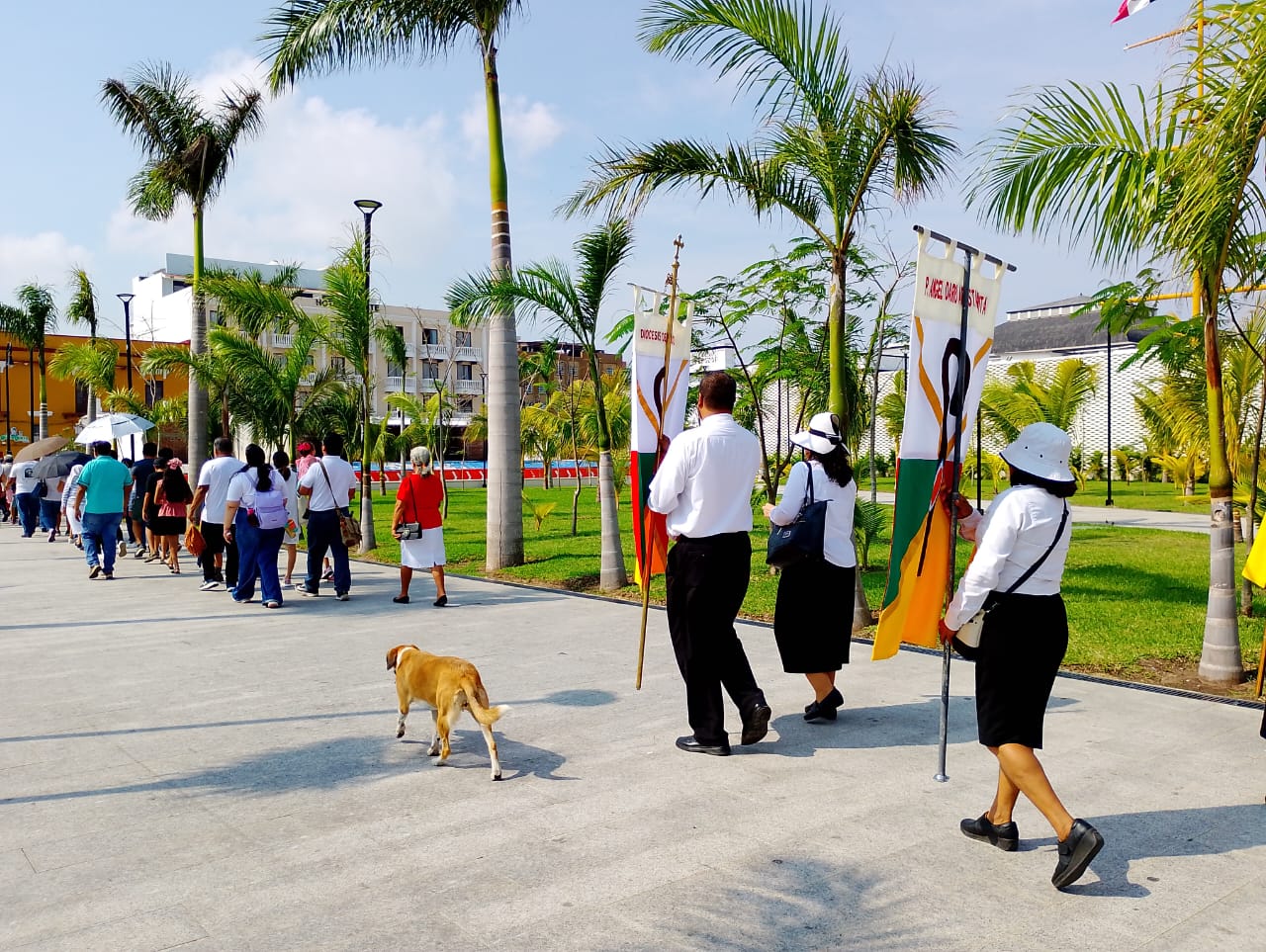 WhatsApp Image 2025-12-28 at 22.45.17 (2)