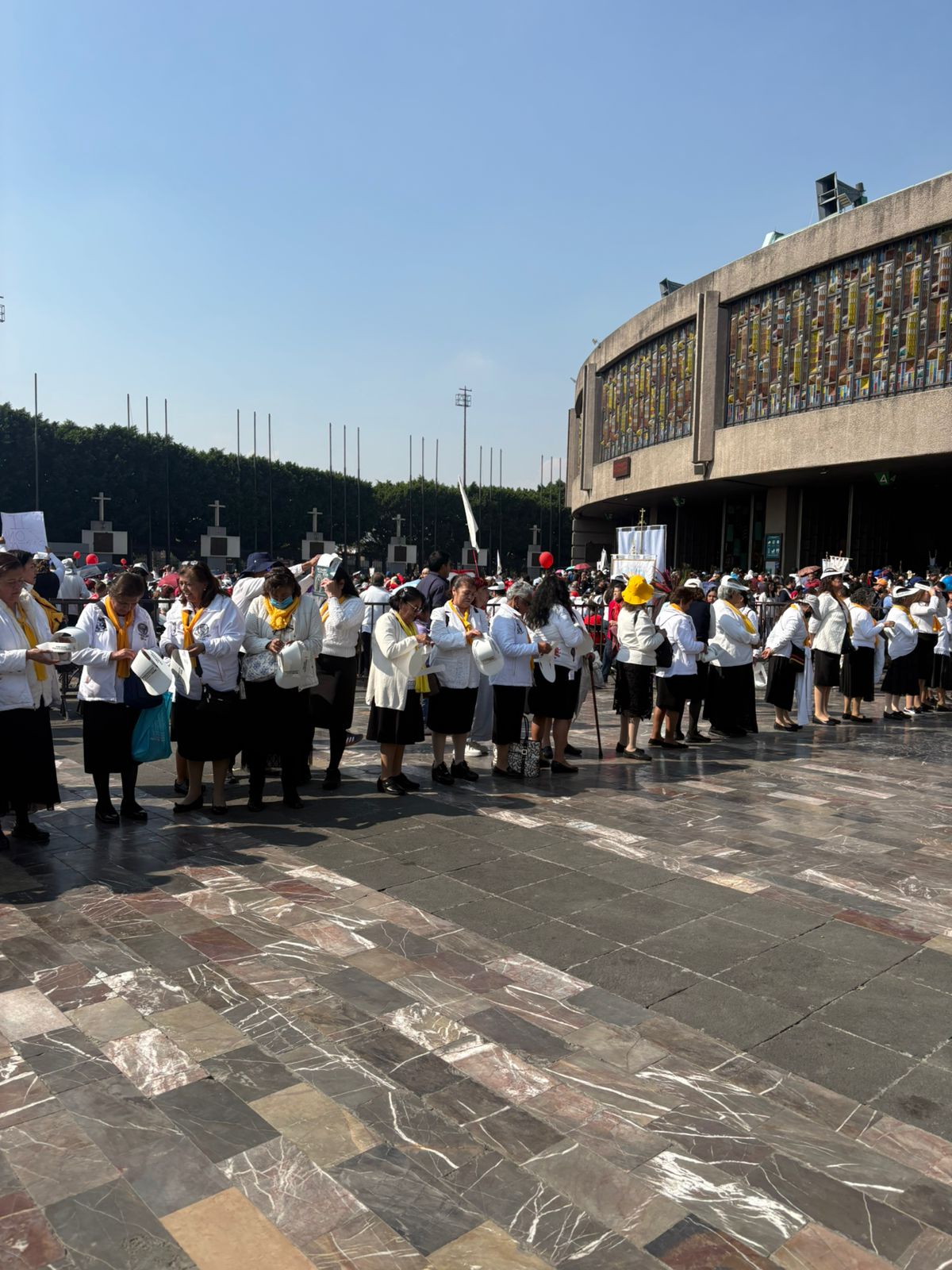 WhatsApp Image 2026-01-19 at 08.55.19