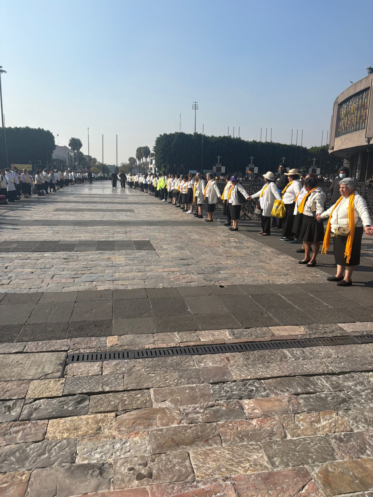 WhatsApp Image 2026-01-19 at 08.55.20 (1)