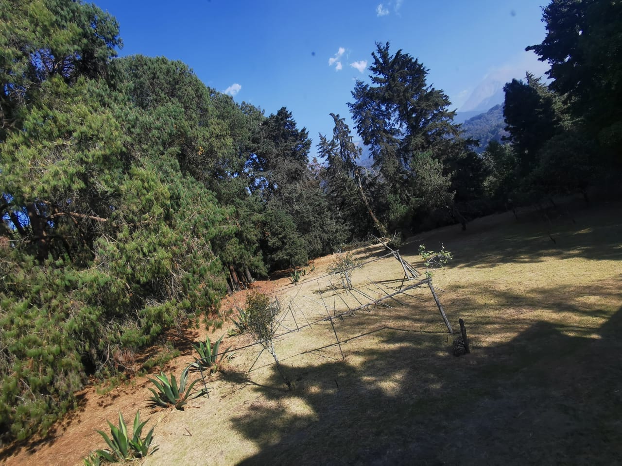 WhatsApp Image 2026-02-23 at 12.55.41 (3)