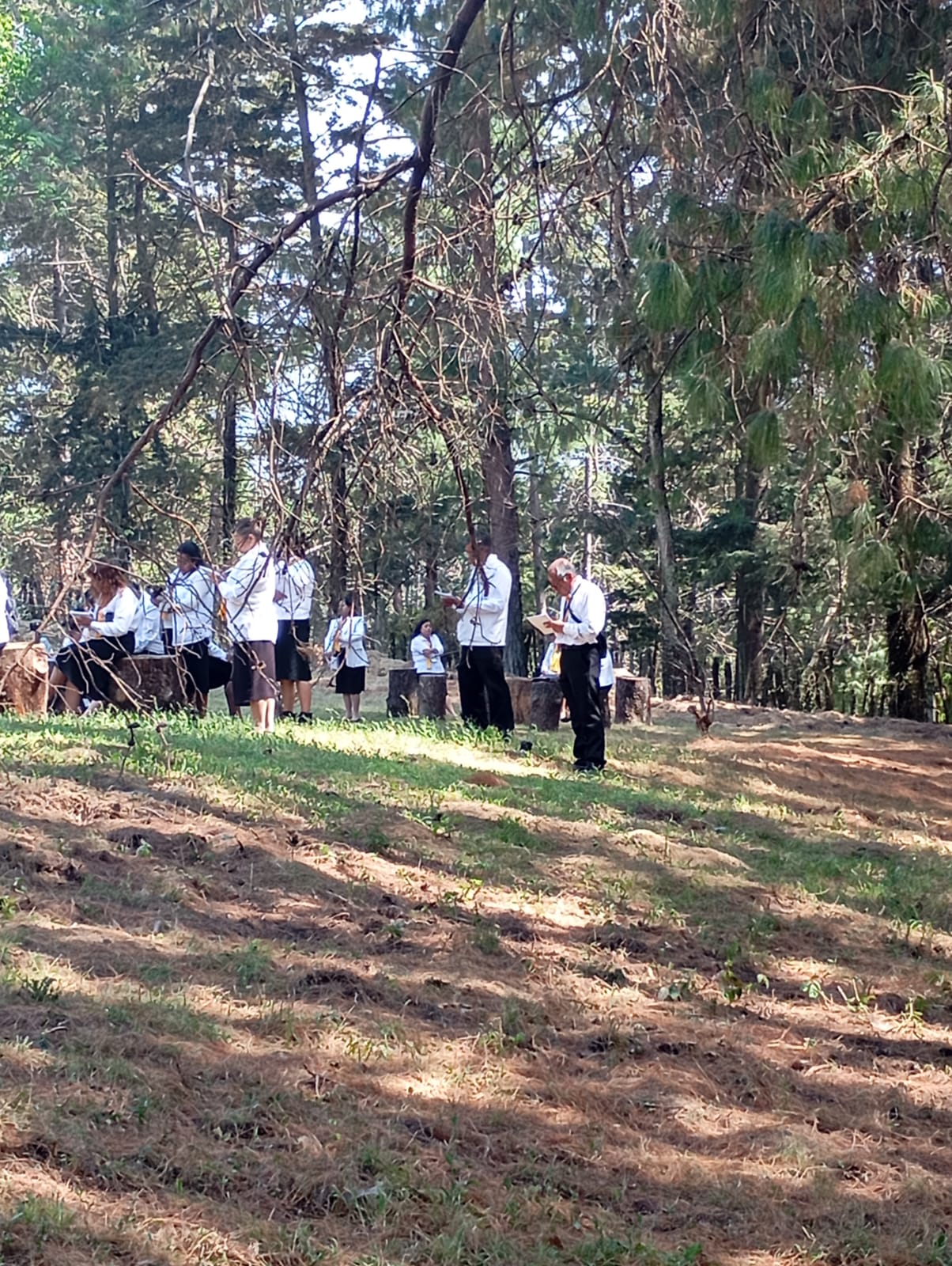 WhatsApp Image 2026-03-02 at 14.33.21