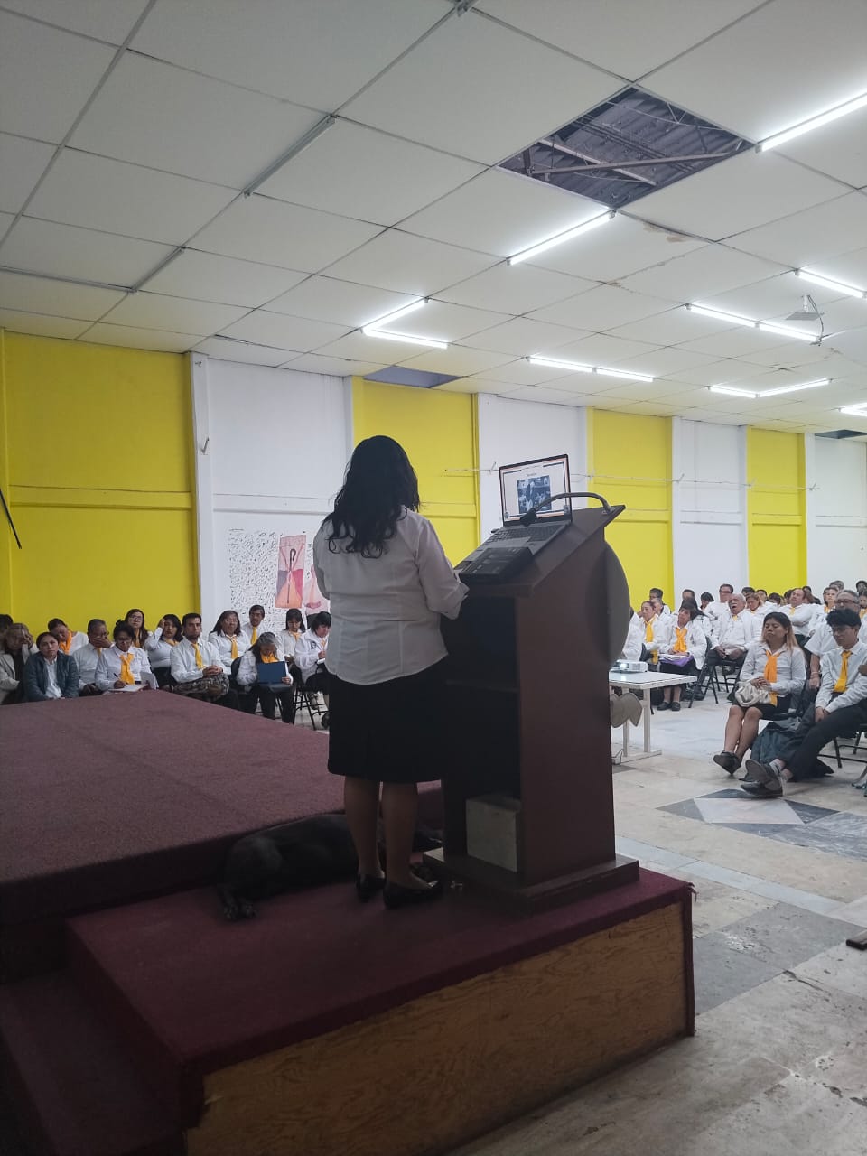 WhatsApp Image 2026-03-22 at 21.22.34 (7)